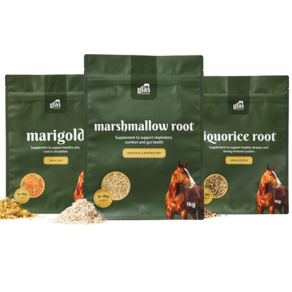 Winter Blend Immune Bundle